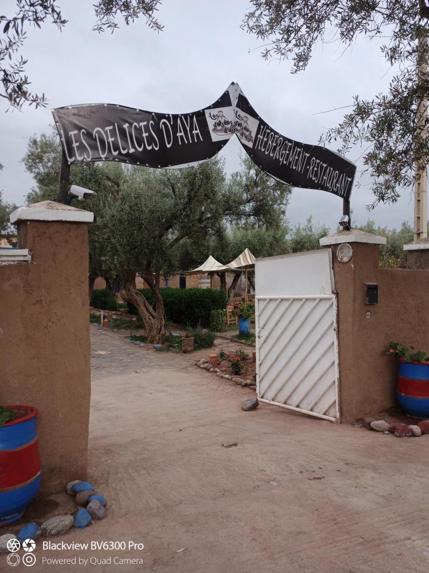 Les Delices D Aya Tahanaout Exterior foto