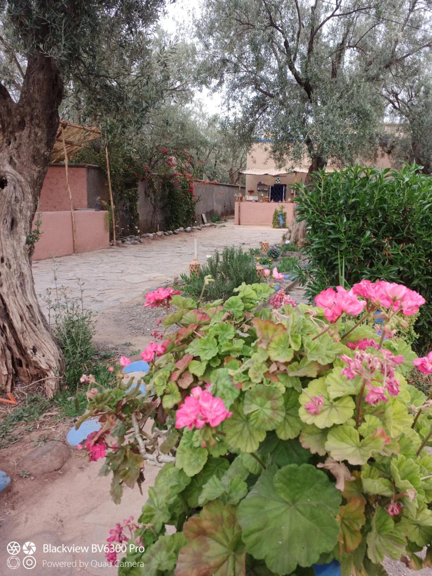 Les Delices D Aya Tahanaout Exterior foto